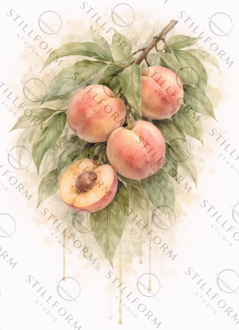 Peach