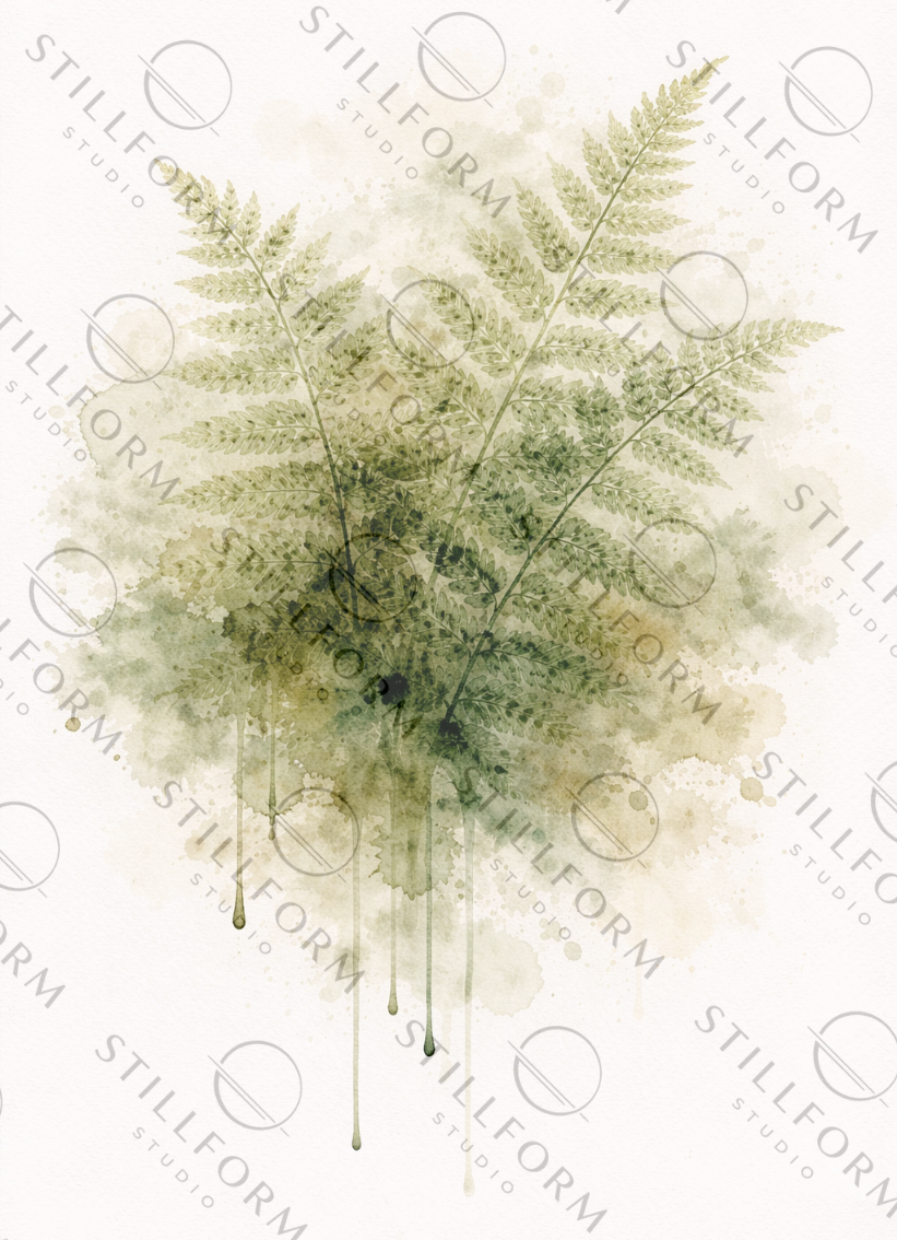 Flora Four