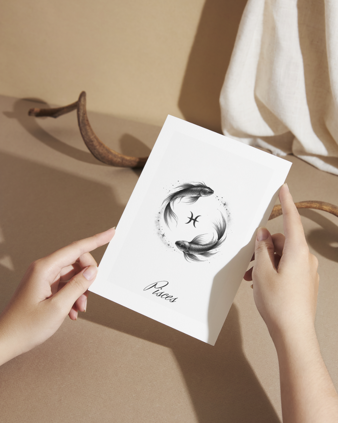 Written in the Stars Collection