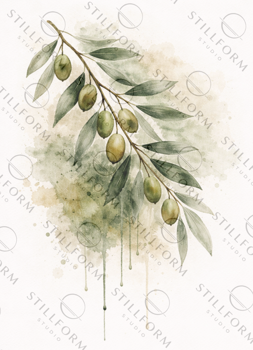 Flora Olive
